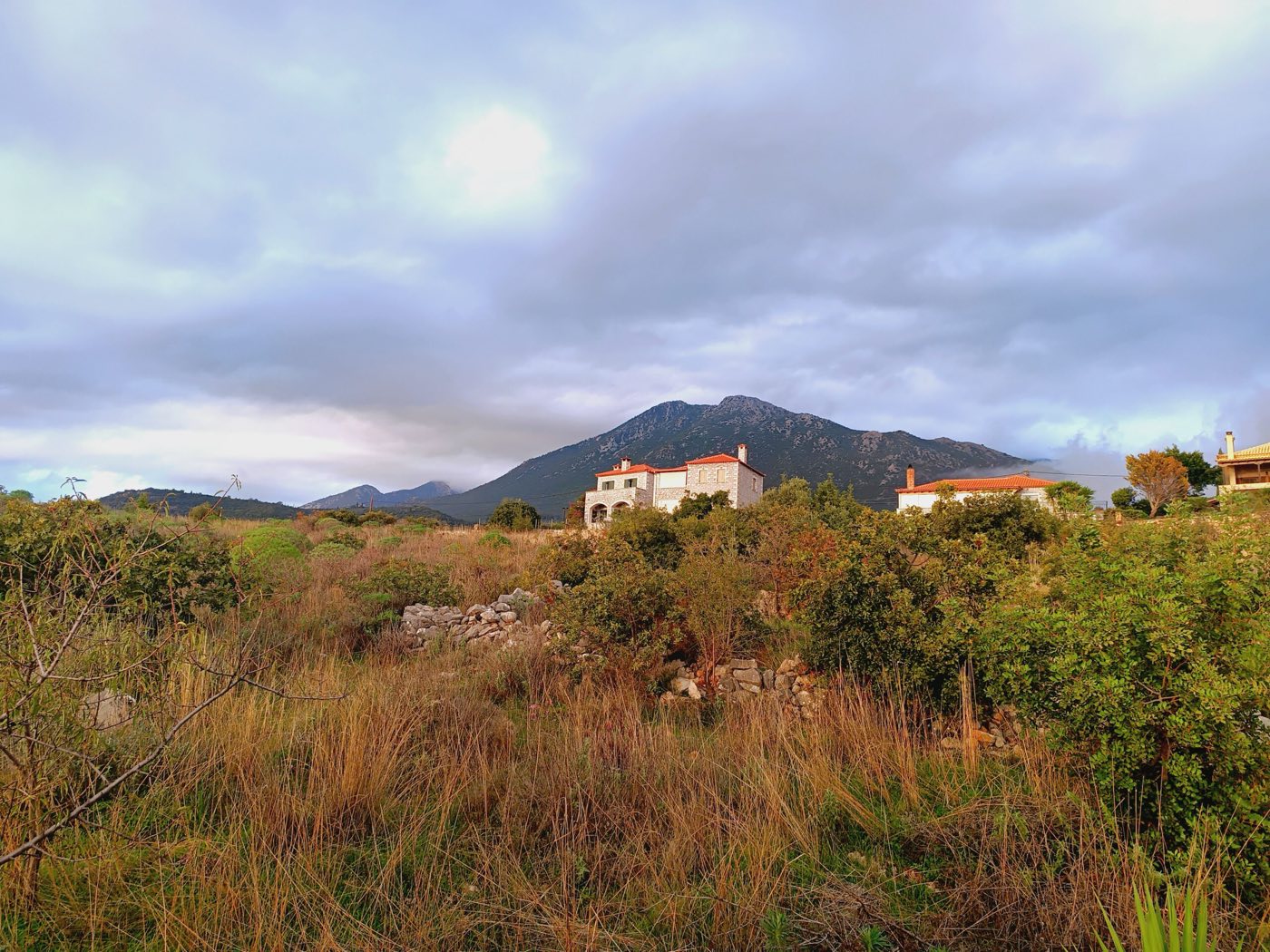 The house on the hillside